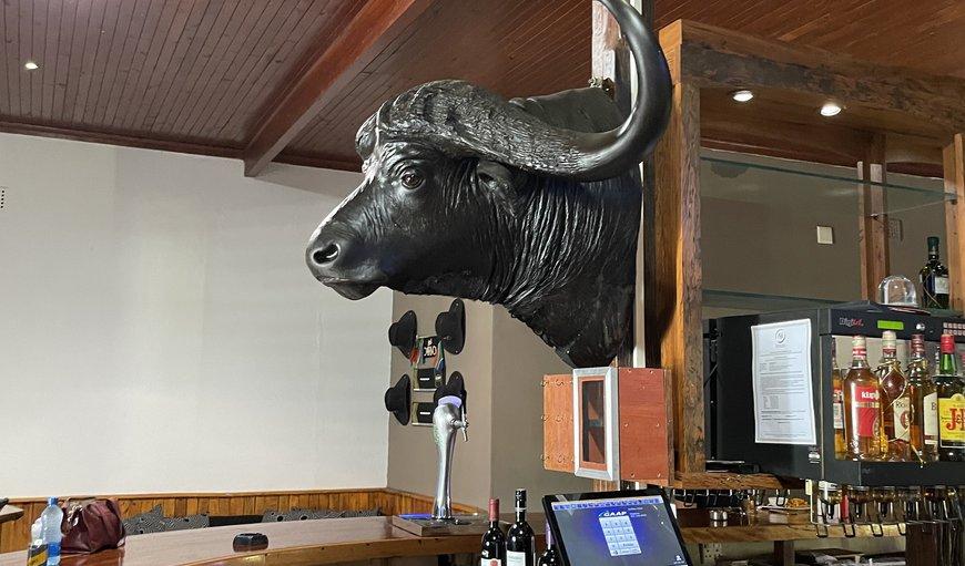 Buffalo Hotel 赫克托斯普雷特 外观 照片